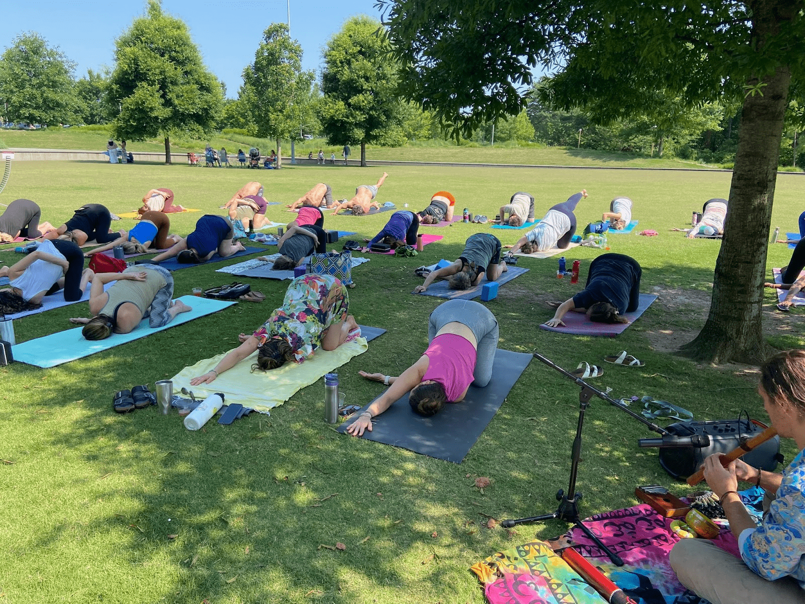Outdoor Yoga in Raleigh | Unita Yoga | Unita Yoga Outdoor Yoga in Raleigh